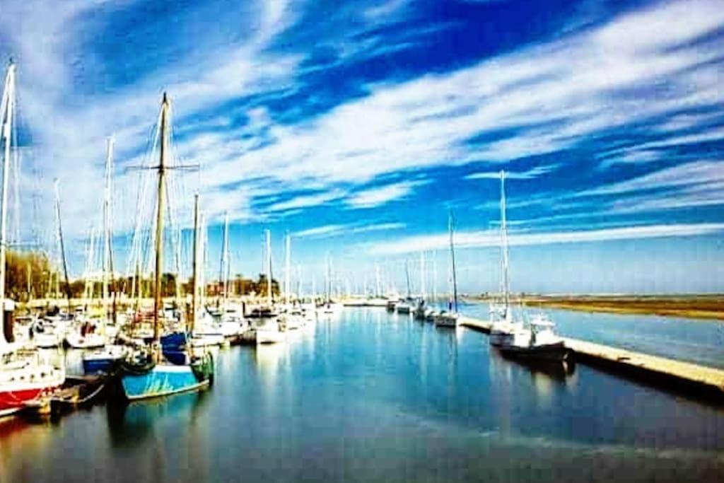 A Gaivota Ria Formosa Waterfront Lux Apart With Pool, Olhao, Algarve ภายนอก รูปภาพ
