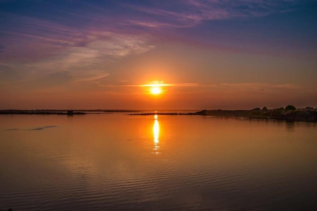 A Gaivota Ria Formosa Waterfront Lux Apart With Pool, Olhao, Algarve ภายนอก รูปภาพ