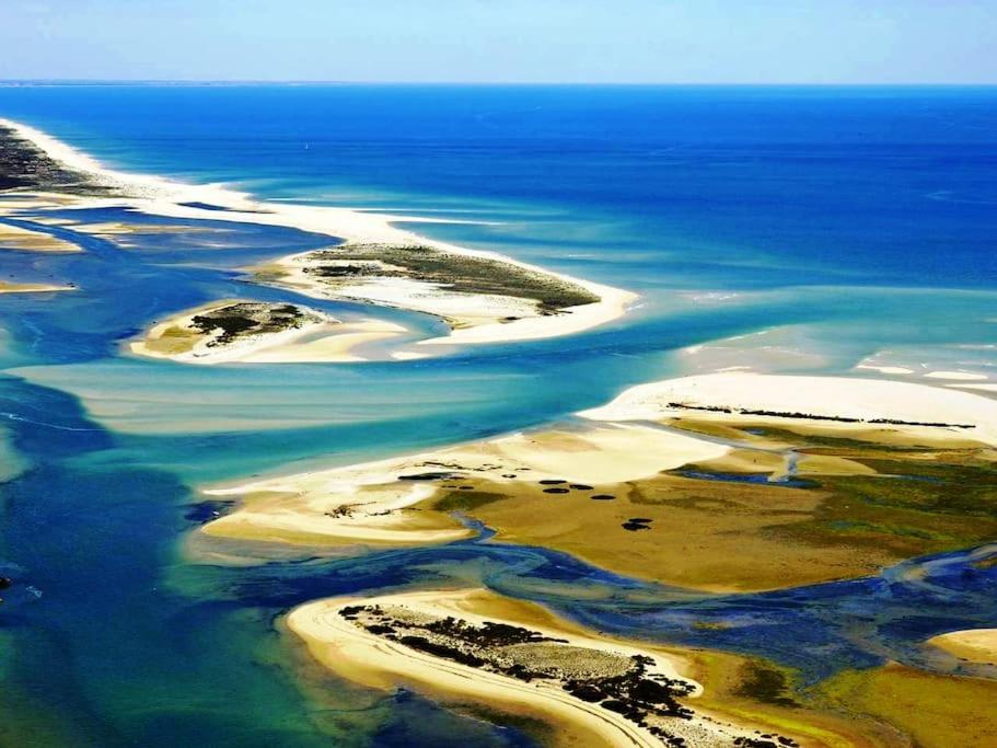 A Gaivota Ria Formosa Waterfront Lux Apart With Pool, Olhao, Algarve ภายนอก รูปภาพ